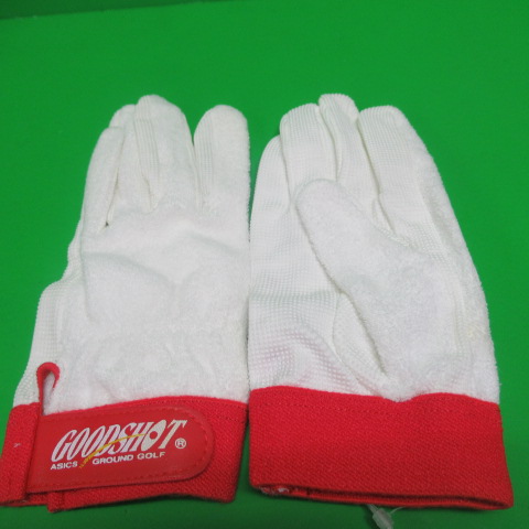 GG16
�A�V�b�N�X�O�����h�S���t�O���[�u